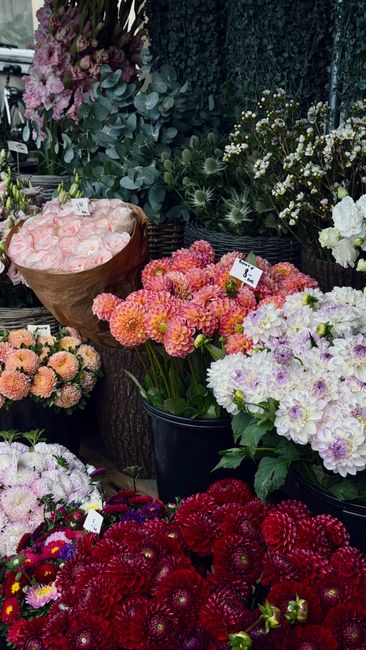 A vibrant display of freshly arranged flowers in various shades of pink, white, and red, including chrysanthemums, dahlias, and peonies, showcased in black and brown pots and wrapped bouquets. The flo